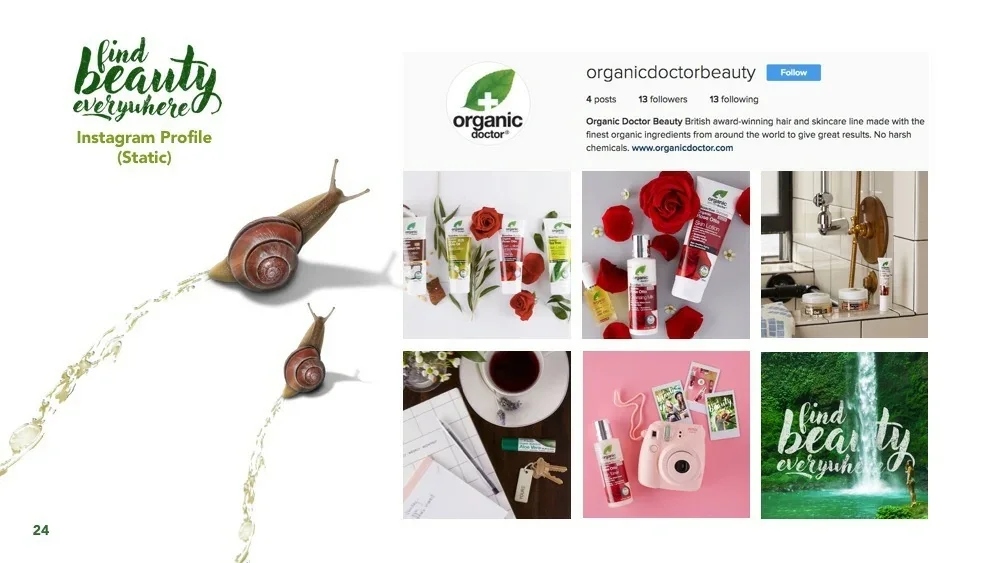 Presentation slide showing the Organic Doctor Instagram profile grid with six posts, alongside a photograph of snails on a white ground.