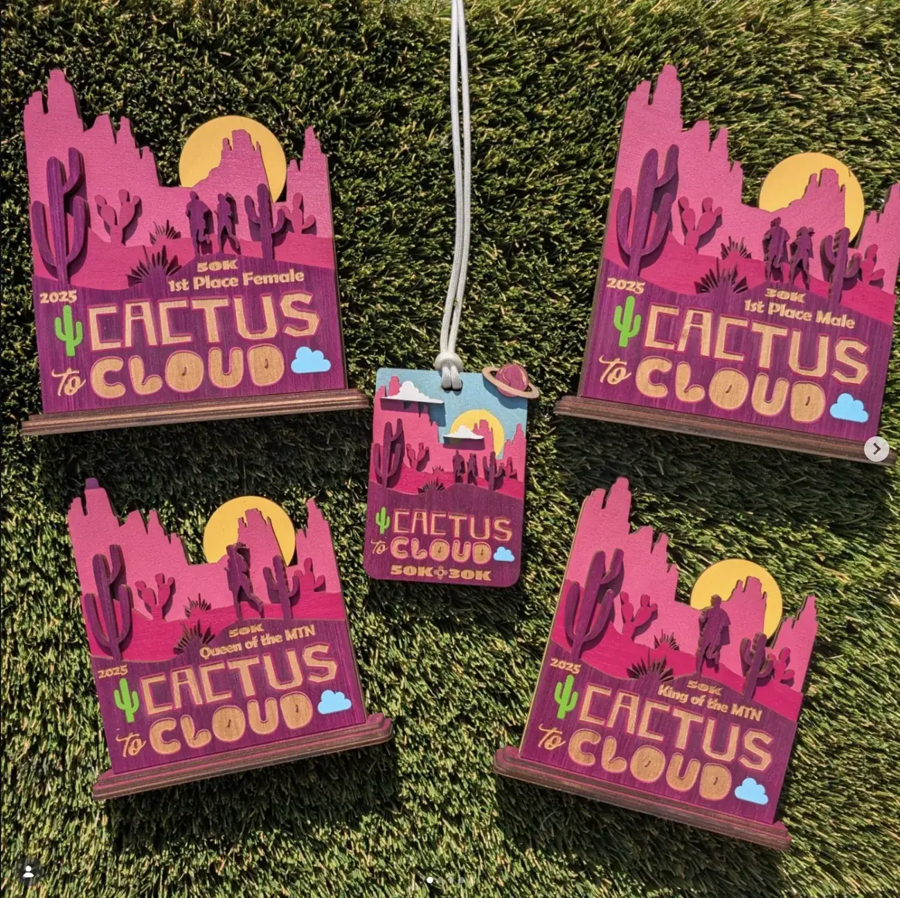 Five layered wooden Cactus to Cloud race awards in magenta and purple, arranged on turf.